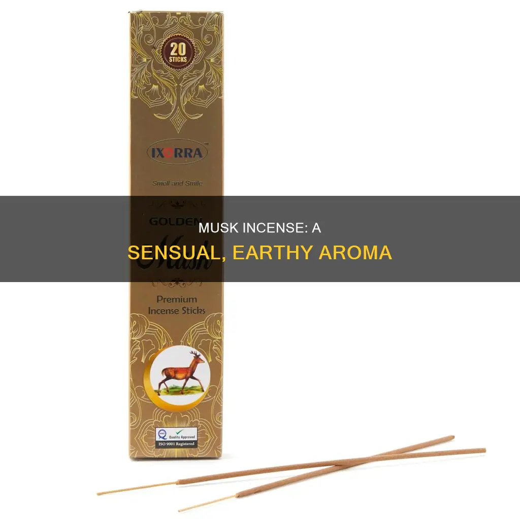 what does musk incense smell like