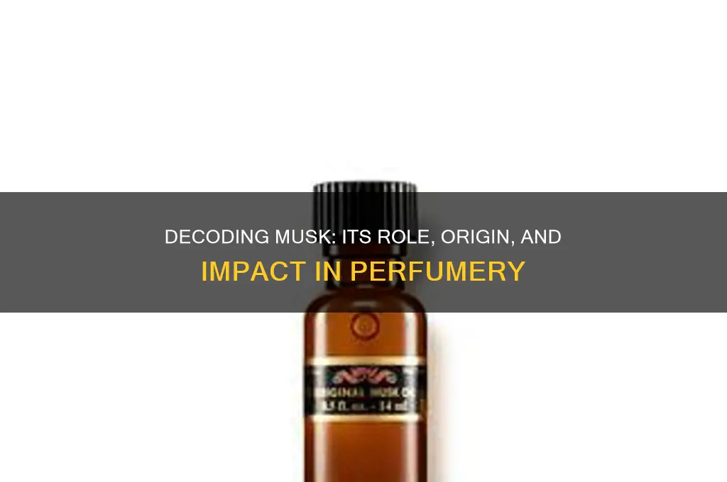 what does musk mean in perfume