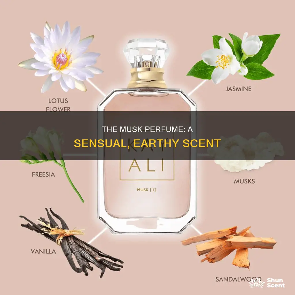 what does musk perfume smell like