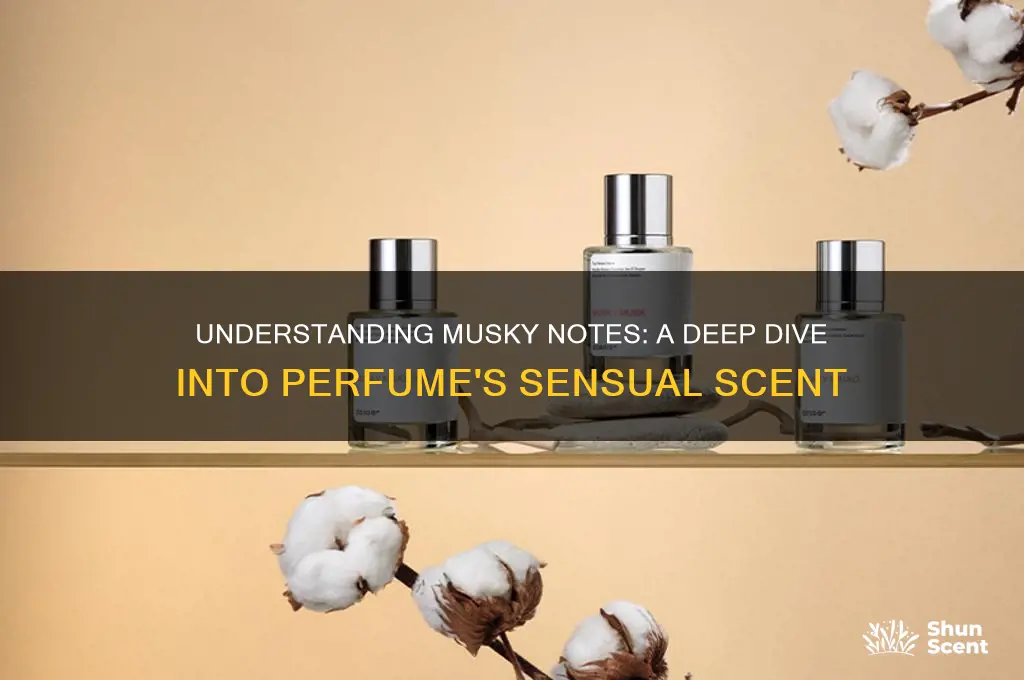 what does musky mean in perfume