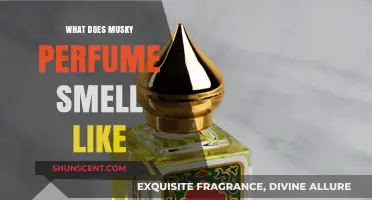Explore the Musky Perfume Fragrance Notes