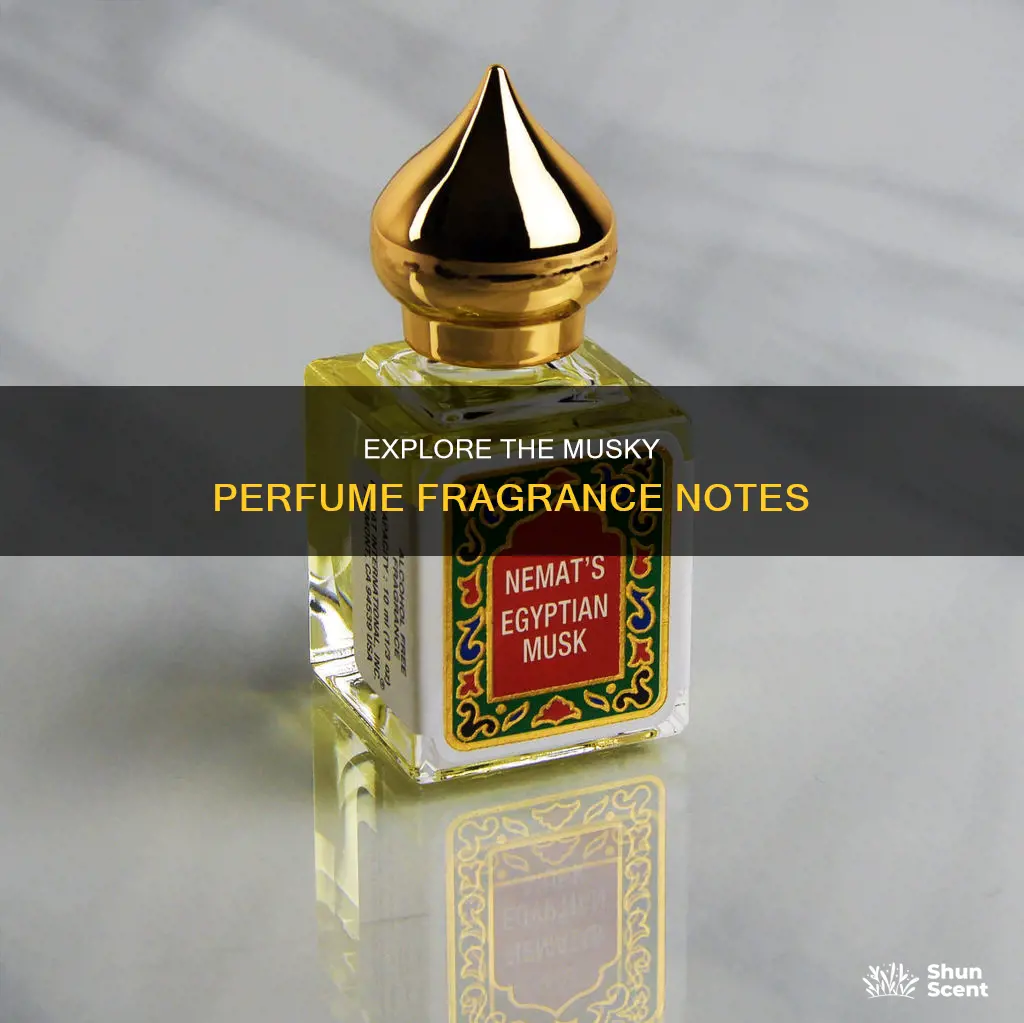 what does musky perfume smell like