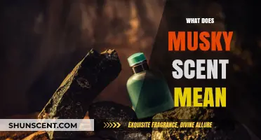 Decoding the Allure: What Does a Musky Scent Mean?