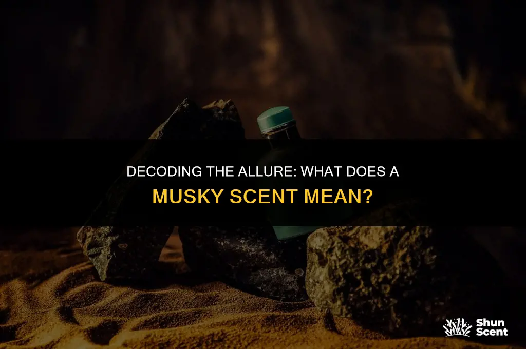 what does musky scent mean