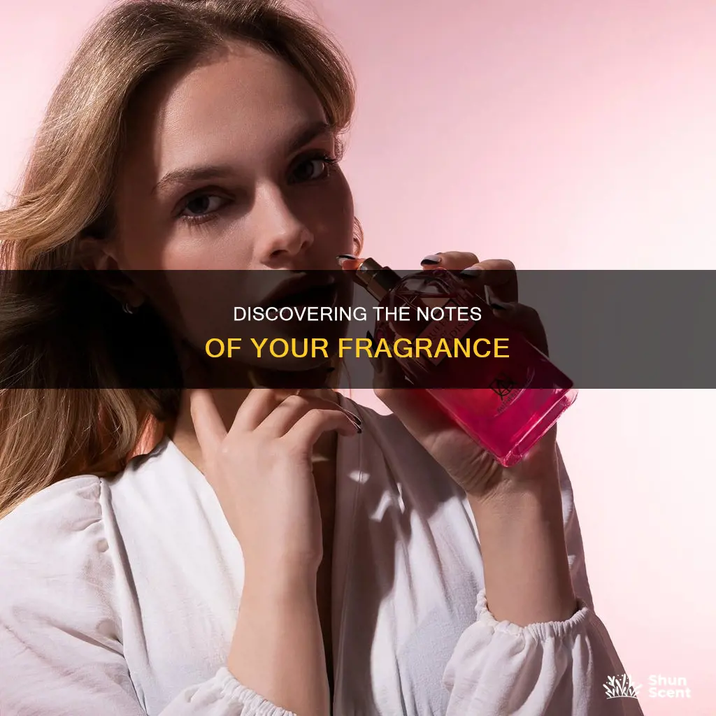 what does my fragrance smell like