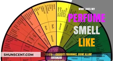 Scents and Sensibility: What Does My Perfume Say?
