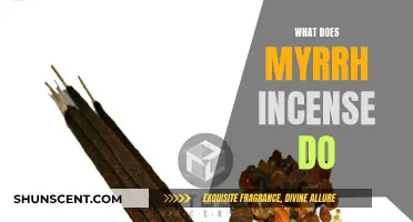 The Power of Myrrh Incense: Ancient Aromas for Modern Healing