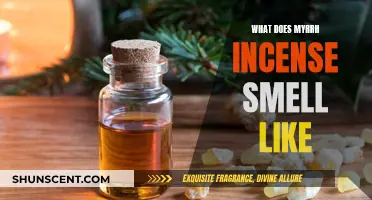 The Sweet, Woody, and Earthy Scent of Myrrh Incense