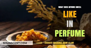 The Ancient Scent of Myrrh in Modern Perfumes