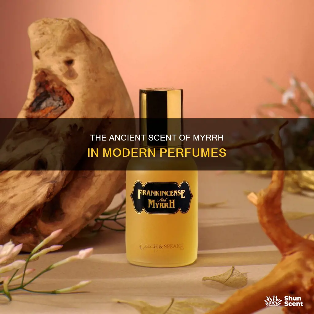 what does myrrh smell like in perfume