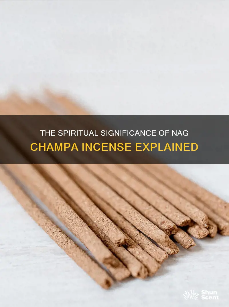 what does nag champa incense mean