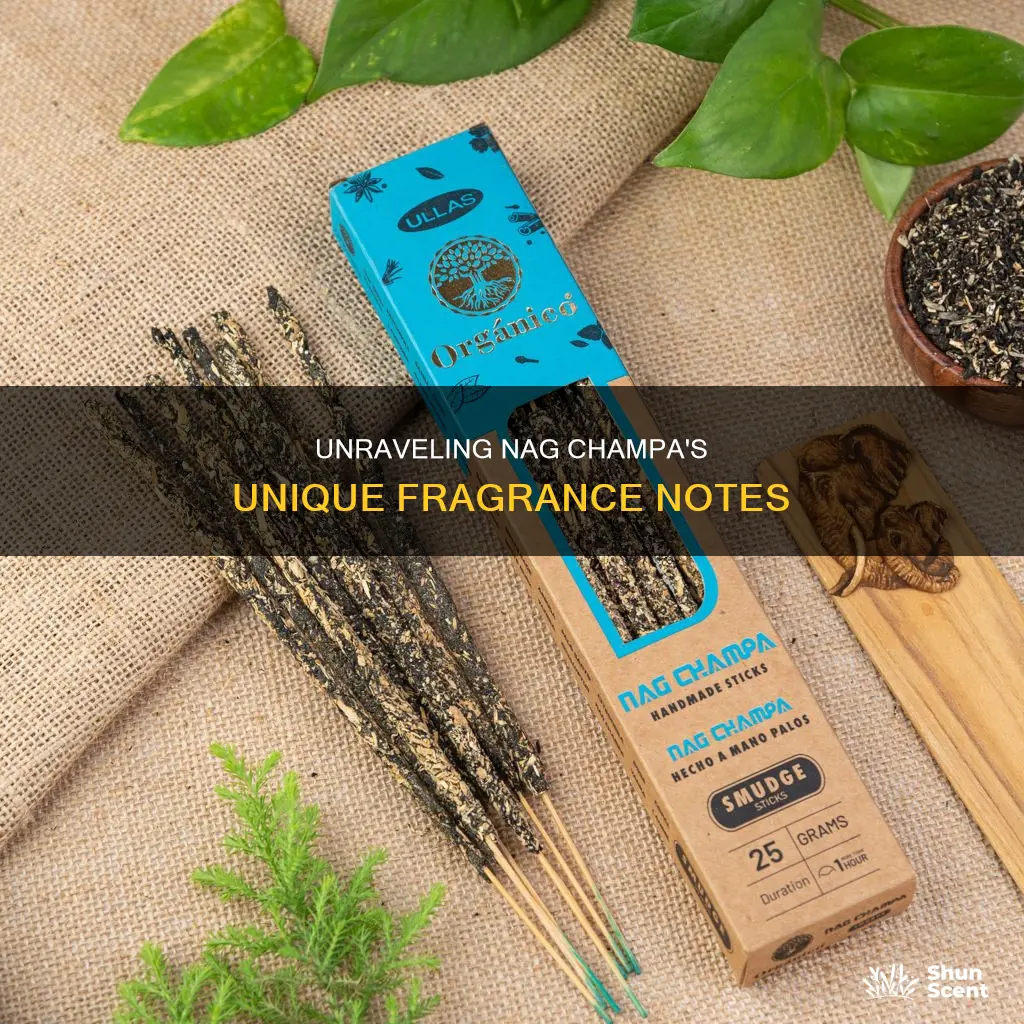 what does nag champa incense smell like