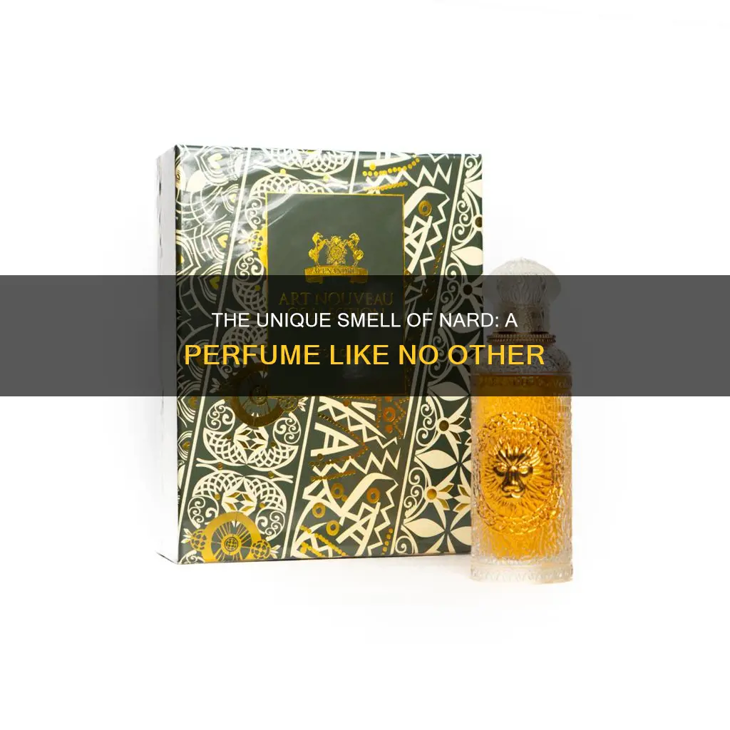 what does nard perfume smell like