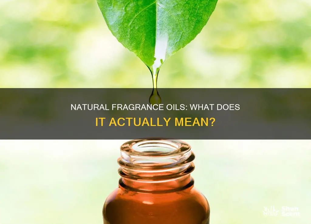 what does natural fragrance oils mean