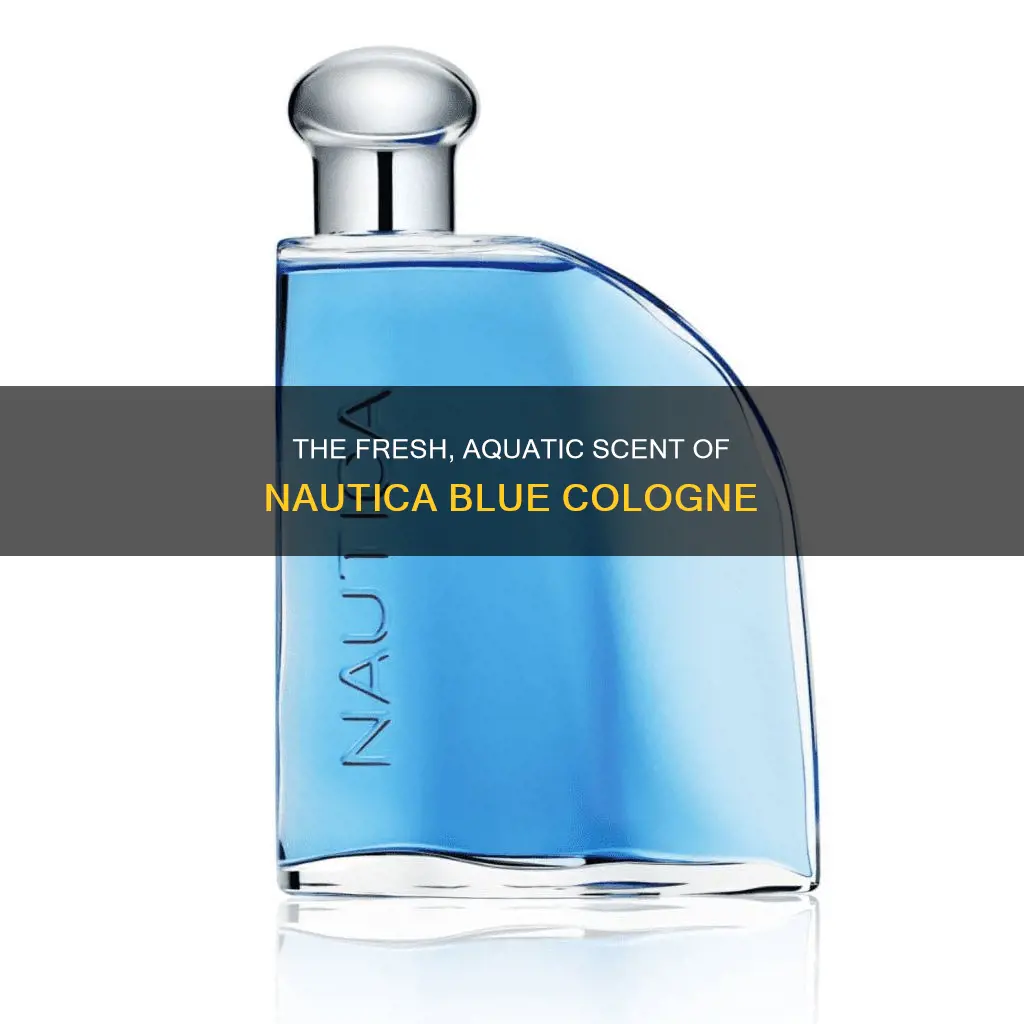 what does nautica blue cologne smell like