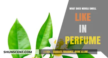 The Unique Scent of Neroli in Perfumes