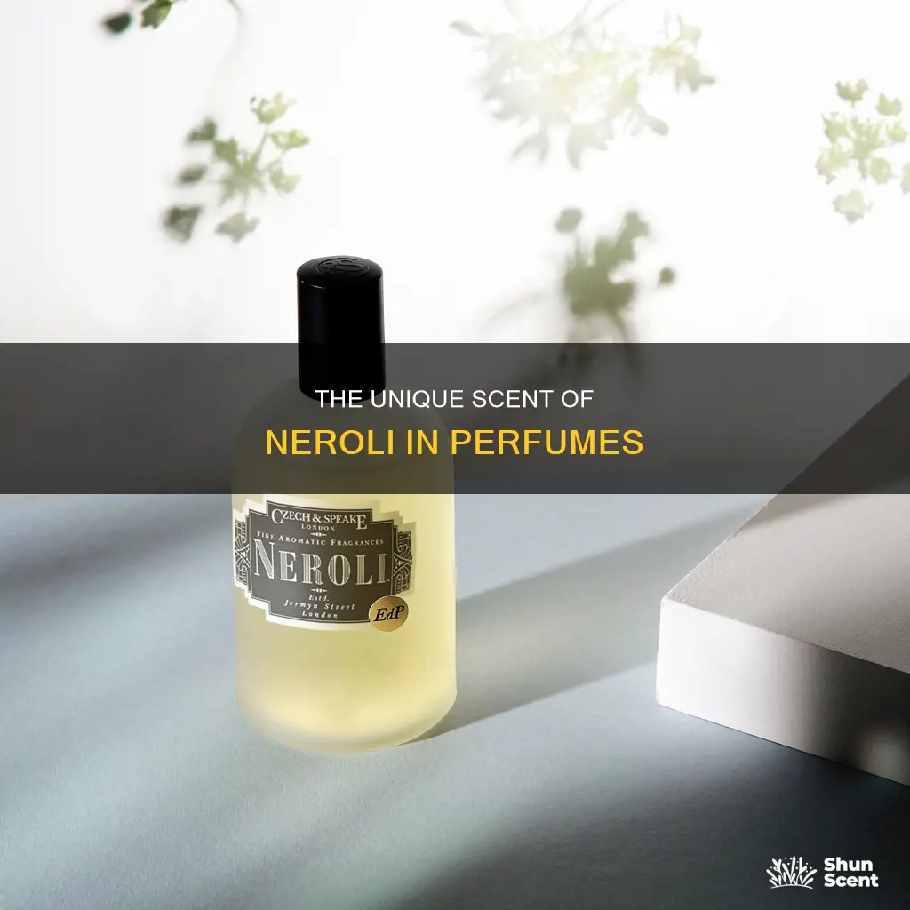 what does neroli smell like in perfume