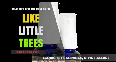 Exploring the Freshness: What Does New Car Scent Smell Like?