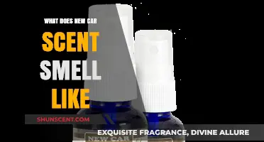 Unveiling the Essence: What Does That New Car Scent Smell Like?
