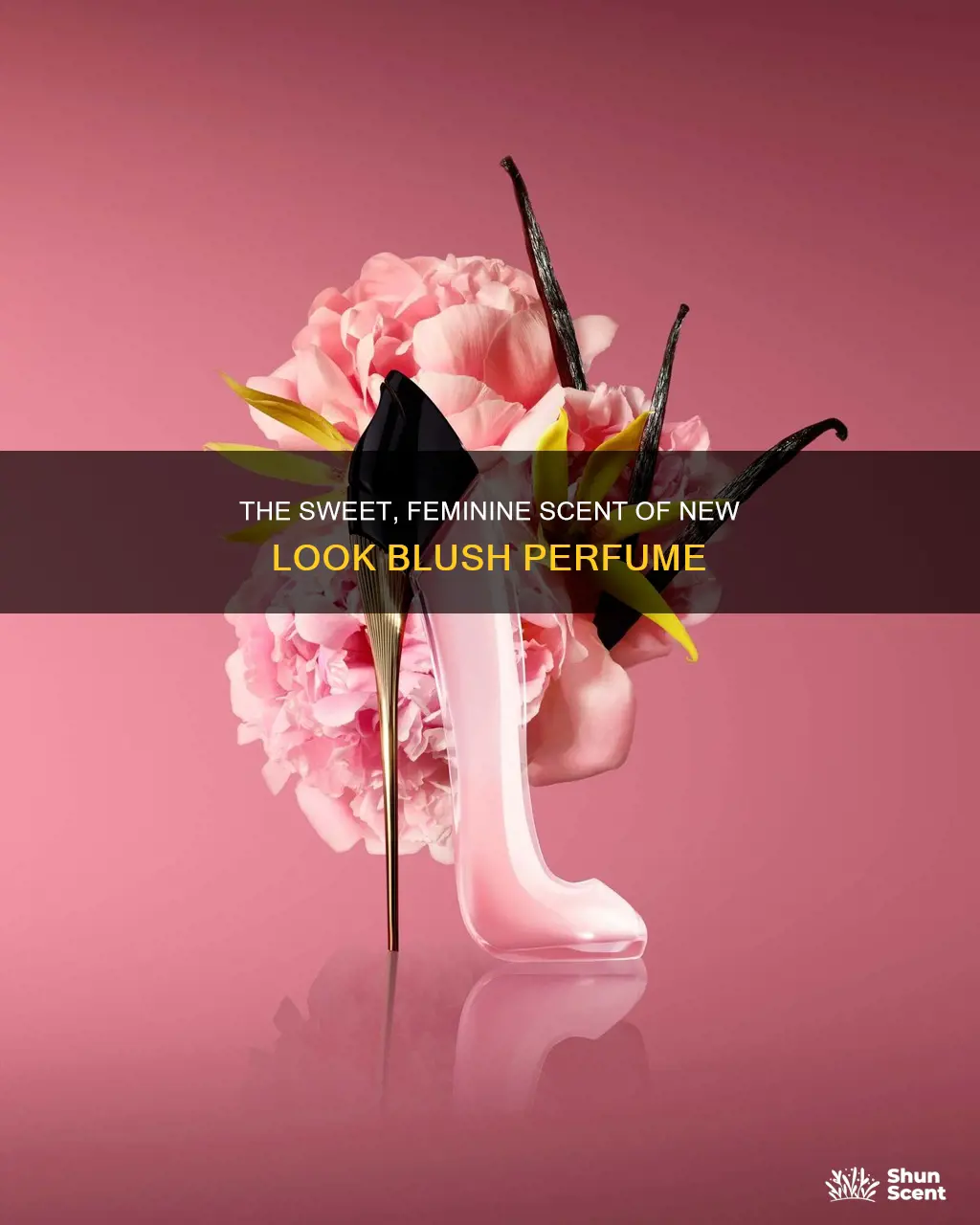 what does new look blush perfume smell like