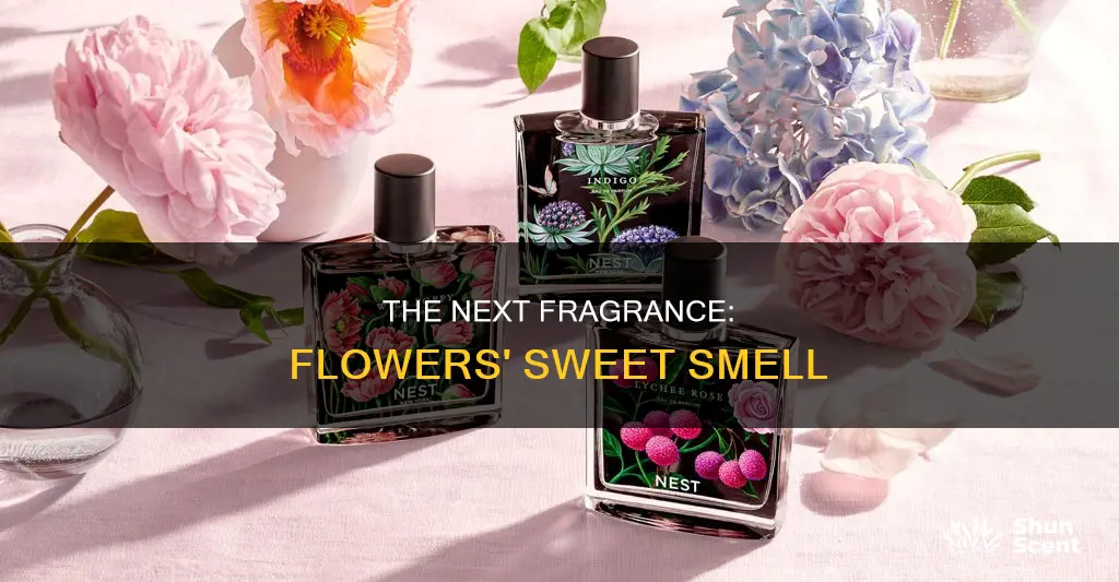 what does next flowers perfume smell like
