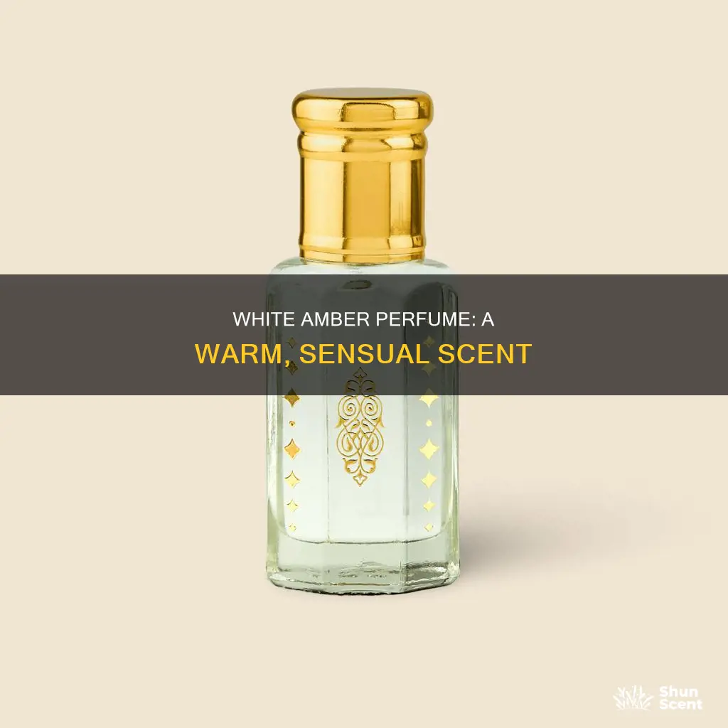 what does next white amber perfume smell like