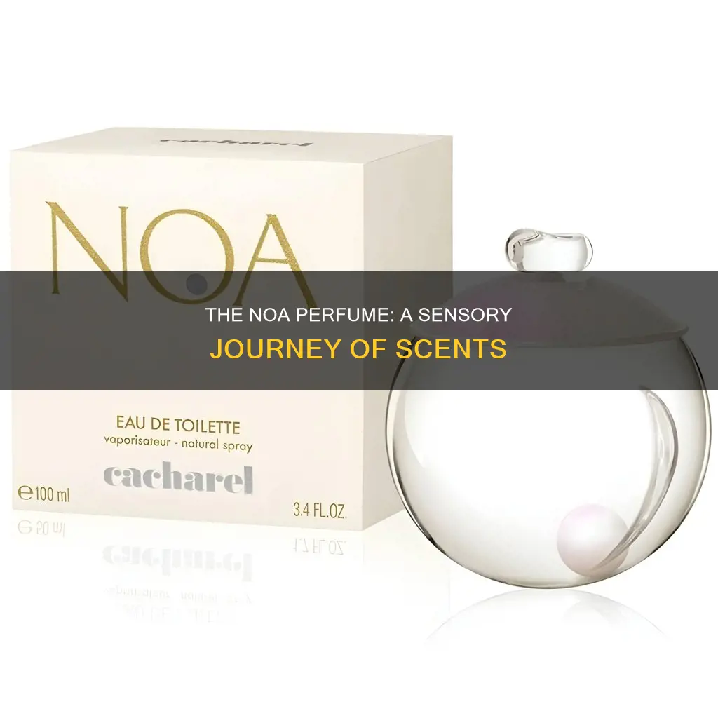 what does noa perfume smell like