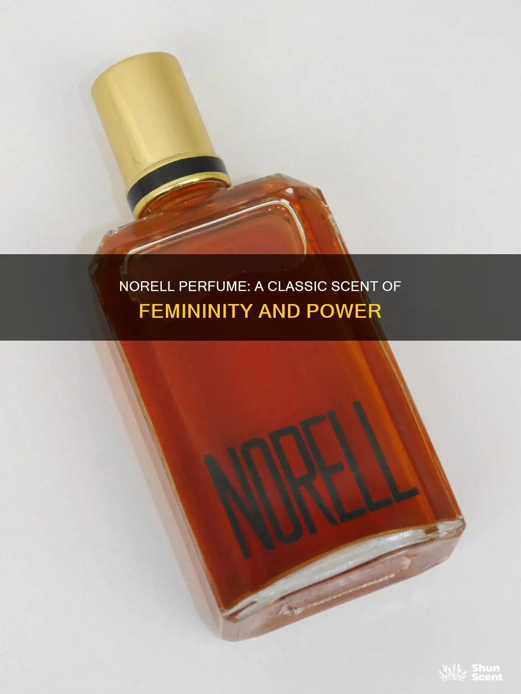 what does norell perfume smell like
