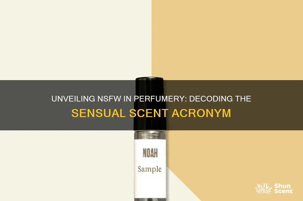 what does nsfw mean in perfume