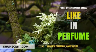 Oakmoss in Perfumes: A Distinctive, Earthy Aroma