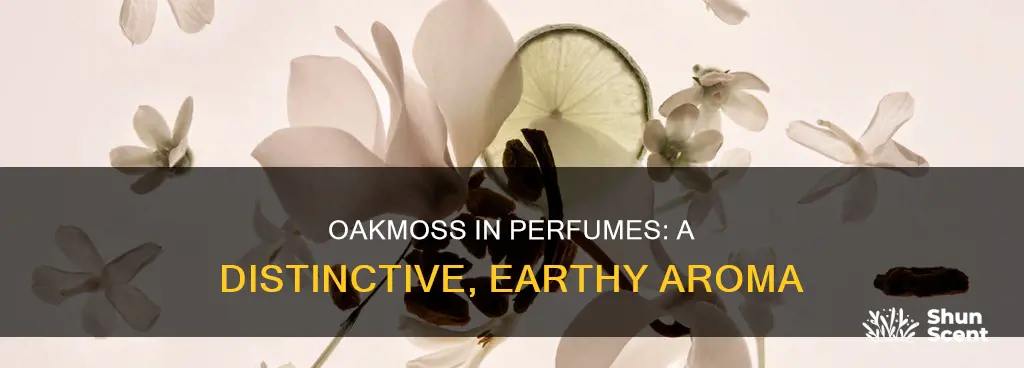 what does oakmoss smell like in perfume