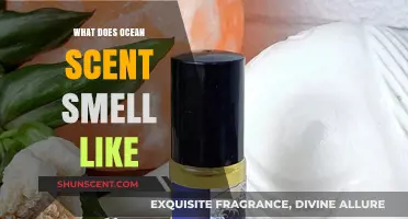 Unveiling the Essence of the Sea: What Does Ocean Scent Smell Like?
