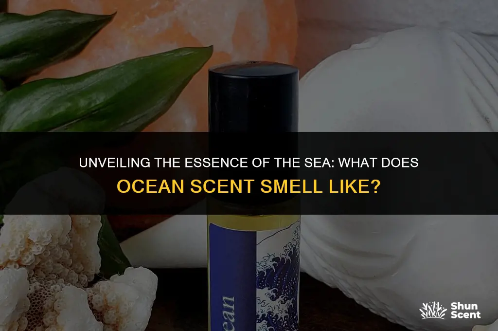 what does ocean scent smell like