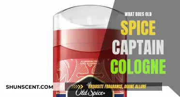 The Alluring Scent of Old Spice Captain: A Review