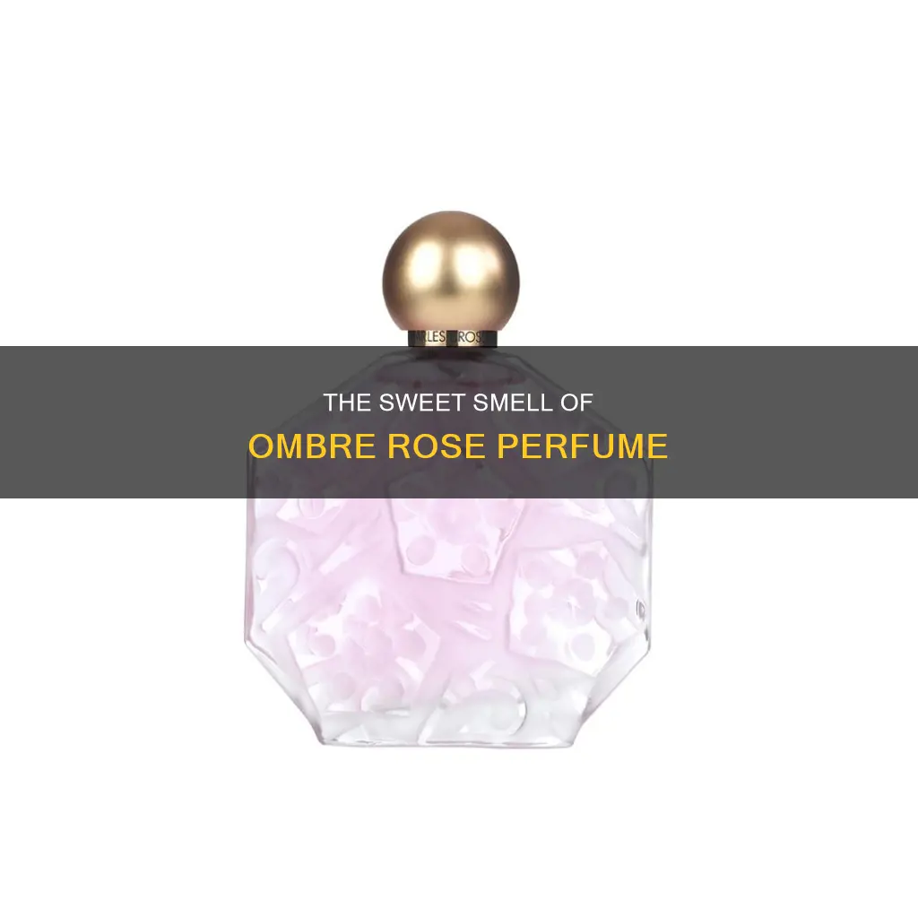 what does ombre rose perfume smells like