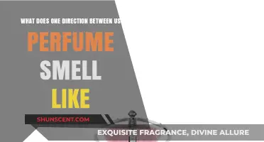 One Direction's Fragrance: Smell Like a Pop Star