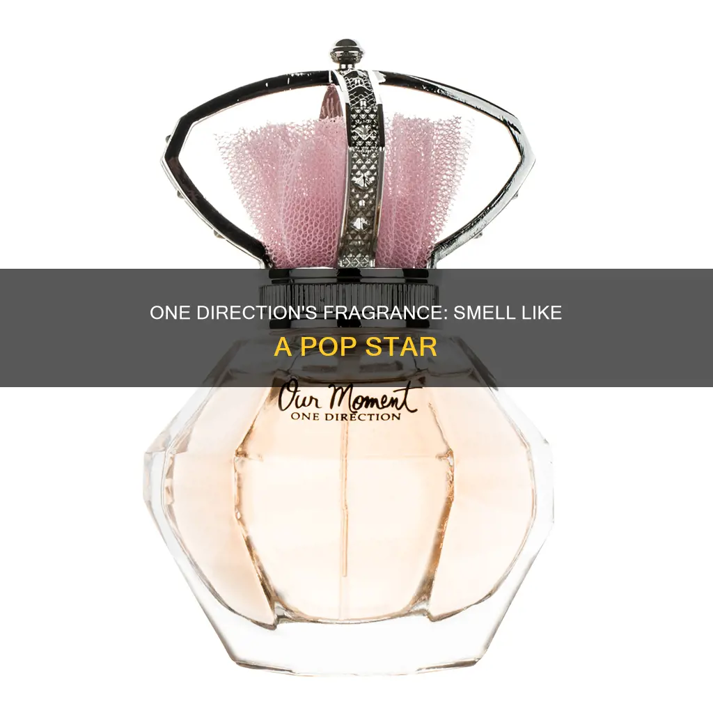 what does one direction between us perfume smell like