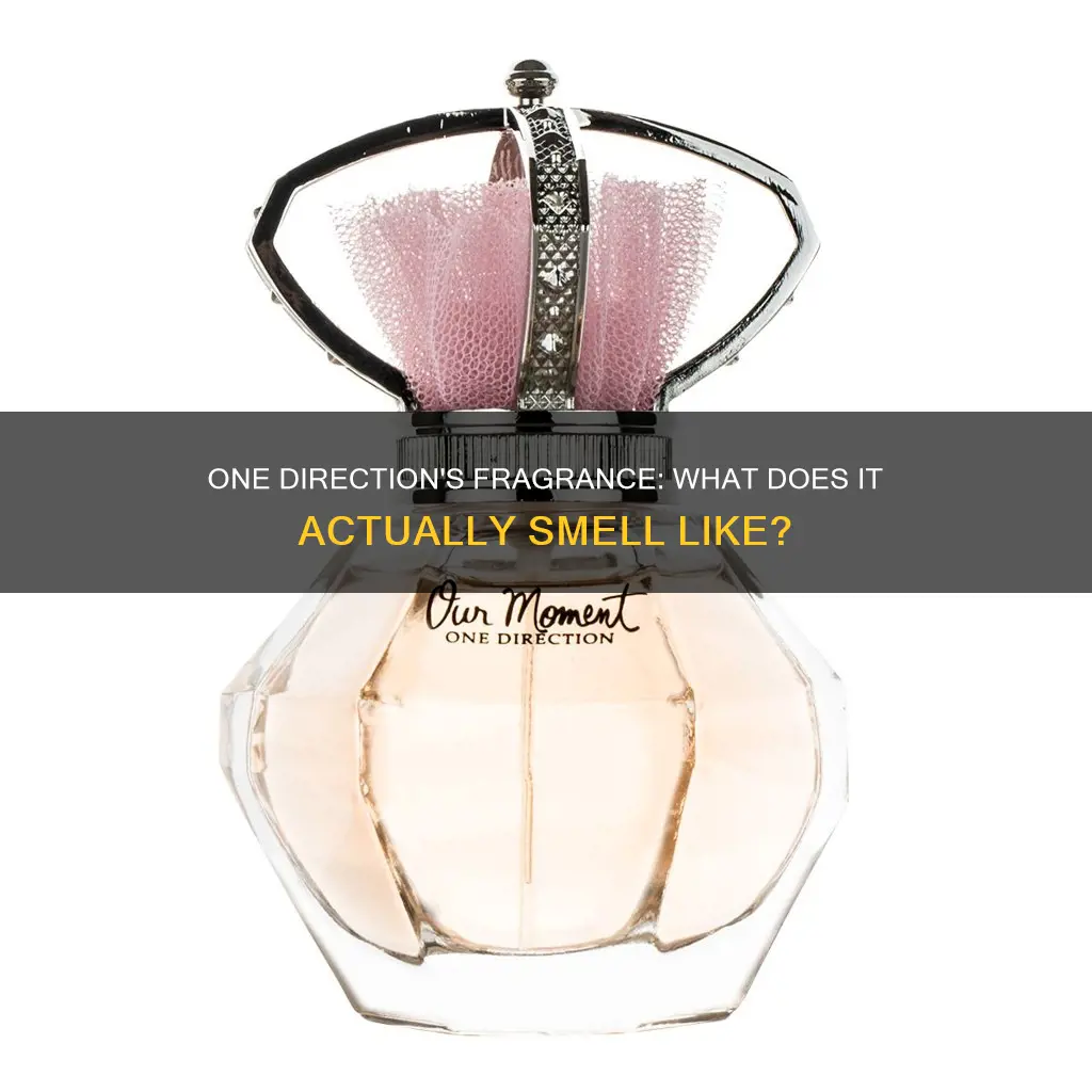 what does one direction that moment perfume smell like