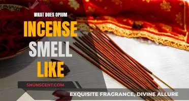 Opium Incense: Sweet, Earthy, and Musky Aroma