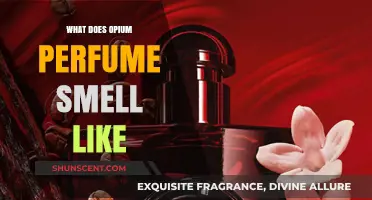 Opium Perfume: A Sensual, Spicy Scent