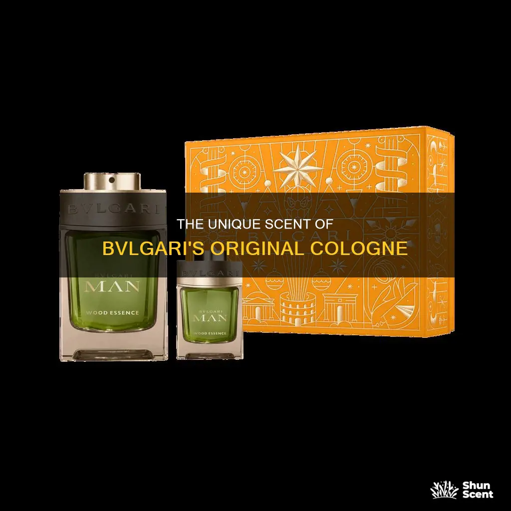 what does original bvlgari cologne smell like