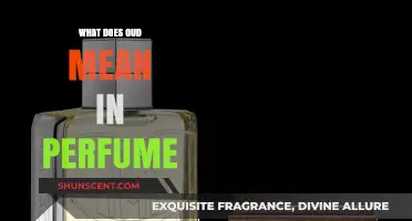 Oud in Perfumes: A Guide to This Exotic Note