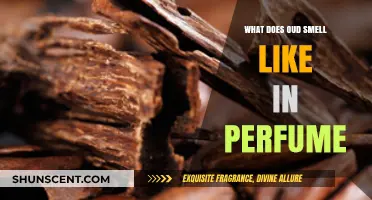 Oud's Unique Scent: A Perfume Connoisseur's Dream