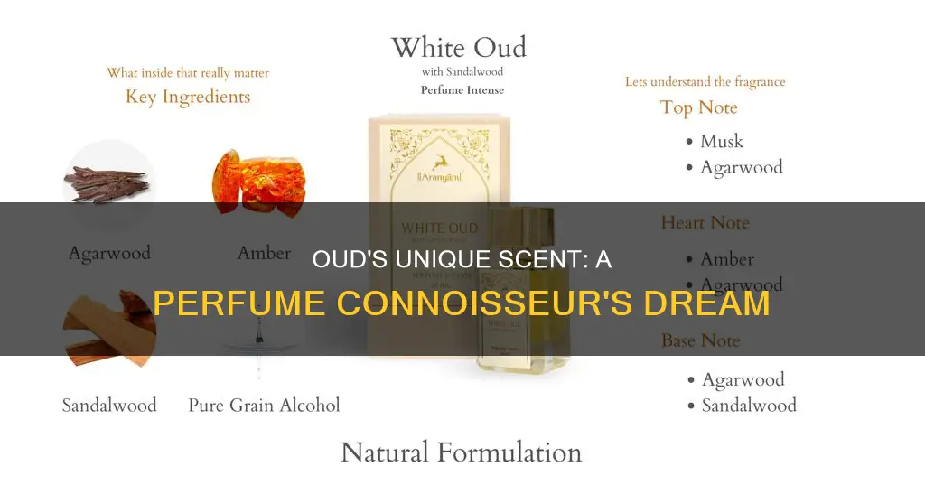 what does oud smell like in perfume