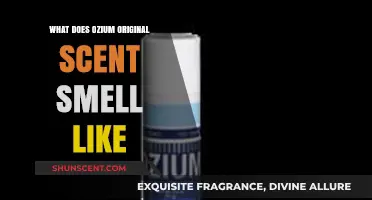 Exploring the Unique Aroma of Ozium Original Scent: A Detailed Guide
