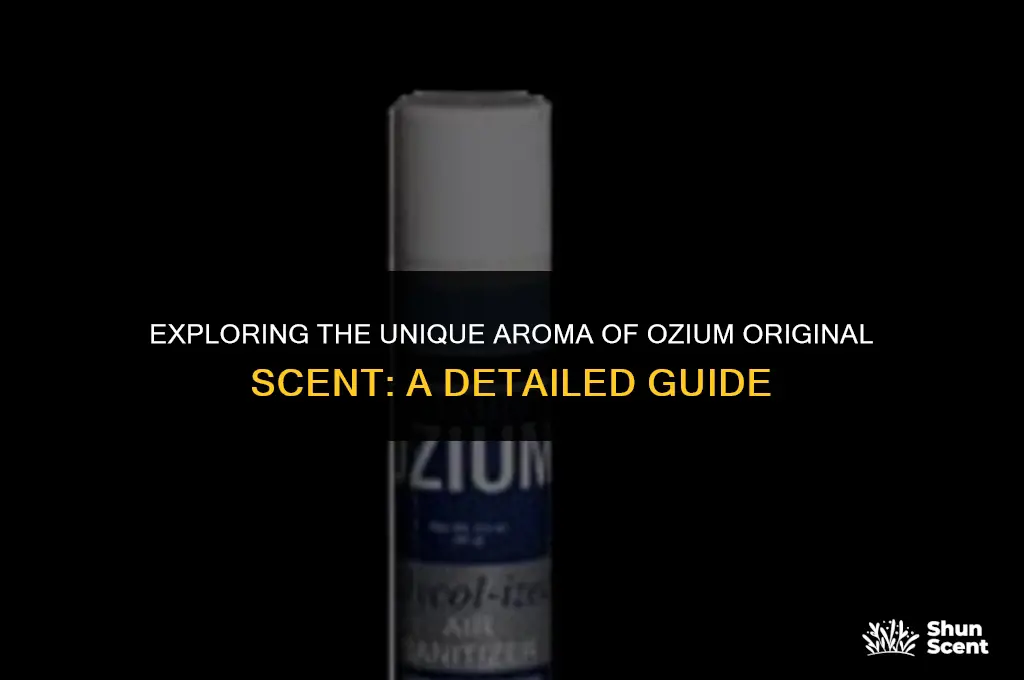 what does ozium original scent smell like