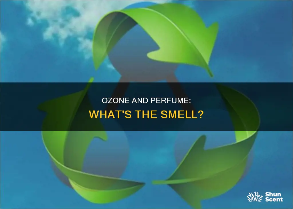 what does ozone smell like perfume