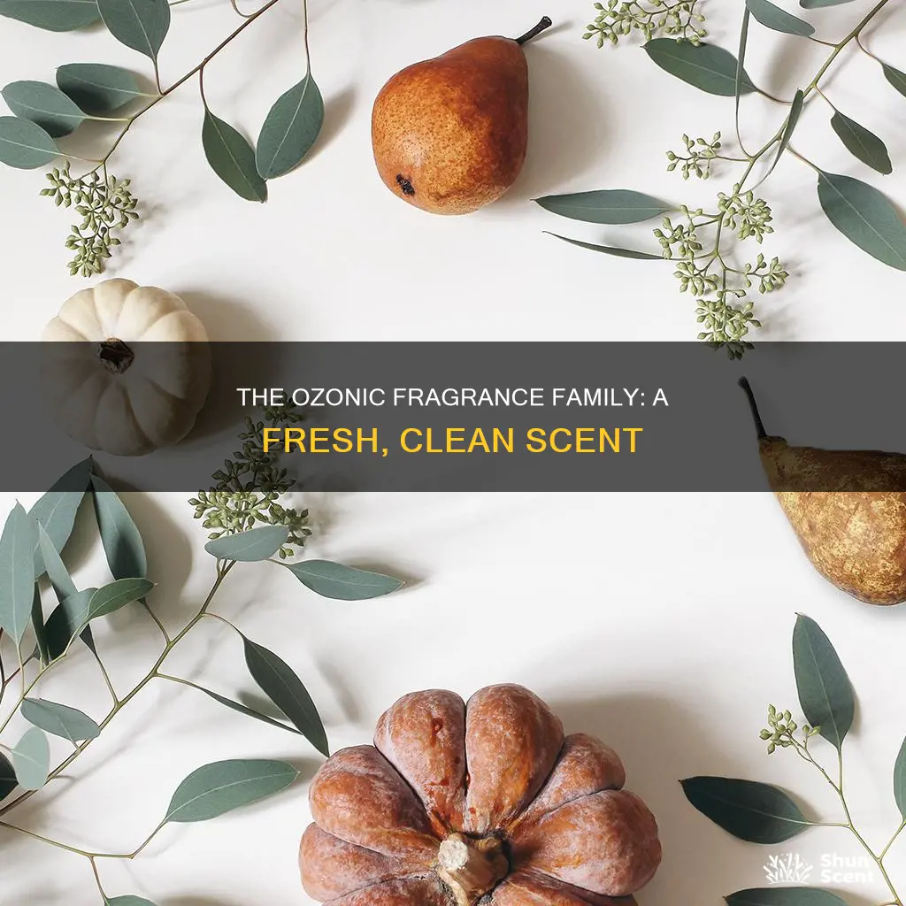what does ozonic mean in fragrances