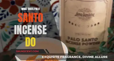 The Power of Palo Santo Incense: Its Benefits and Uses