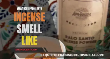 The Sweet, Woody Scent of Palo Santo Incense